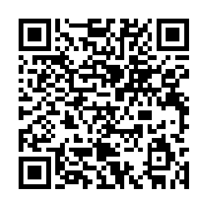 周边的植被快速的萎缩着从我的身体上面逃了出去二维码生成