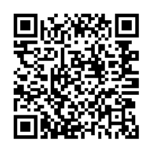 周青莲那对美丽的眼眸深处更是隐隐闪着一丝得意和骄傲二维码生成