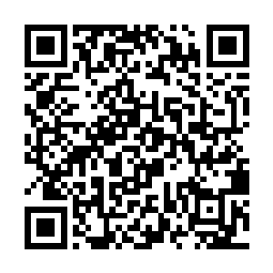 周风和周雨两人之前便听到了戚家下面的人传来消息二维码生成