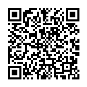 呵呵……没想到你这么强……咳咳……真遗憾呐二维码生成