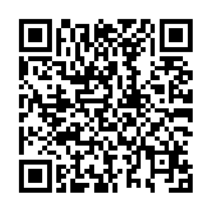 呼吸了那烟后墙上的人的表现虽然大大出乎的了木影的意料二维码生成