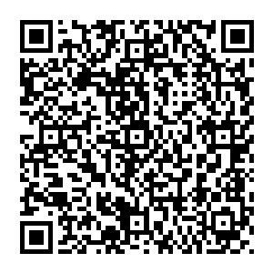 呼延家和李家六大家族的无数南方中小型家族此时正通过传讯玉简让家族选拔优秀少年弟子送到望仙城来二维码生成