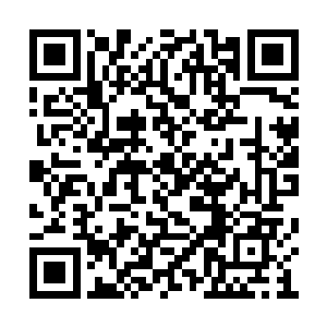 命令奥巴罗夫率领第五骑兵师全速向着我们靠拢二维码生成