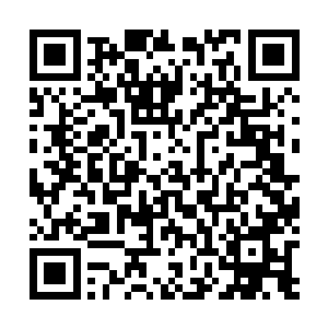 命几个心腹安排两位主母以及马烟雨还有姜家母子的住宿二维码生成