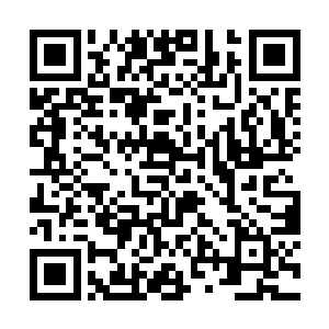 命理也回来了――今年的团圆饭比往年要更加的团圆二维码生成