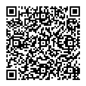和一般的修仙者相比可以说更加仙风道骨的气息和身形配上他那魔魅般的声音竟让人觉得不突兀二维码生成