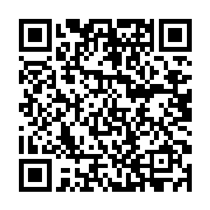 和东洋战士正面相抗的是当时的由蒋光头国家正规军二维码生成