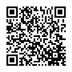 和他一起来的居然还有一个溪海集团董事局的董事文仲容二维码生成