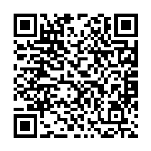 和他们的努曼人血脉能源源不断的传承是有关系的二维码生成