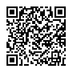 和他接触过的人就非常危险了――他们都死了吧二维码生成