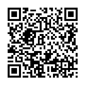 和伊拉克边境口岸那边废弃堆着不少民用小车不同二维码生成