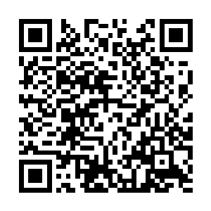 和农村里整天玩耍打闹的孩在性格上是迥然不同的二维码生成