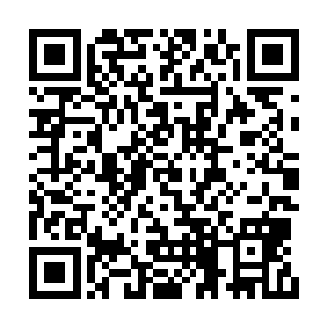 和刚才跟那些人竭力嘶吼和挣扎的疯狂判若两人二维码生成