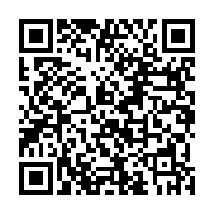 和别的幼儿园的小孩子比起来不敢说是智力最高心算最强二维码生成