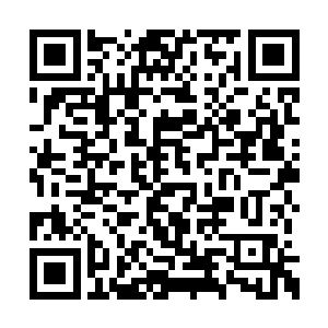 和十名被推举出来的头领构成这次的裁决团成员二维码生成