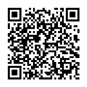 和卡卡小穹豆豆三只胡闹到大半夜的夜染还没睡醒时二维码生成