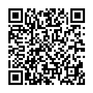 和各大家族的关系又岂是三言两语可以说的清的二维码生成