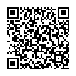 和天鹰王国红发老者的战力相差可谓是非常巨大二维码生成
