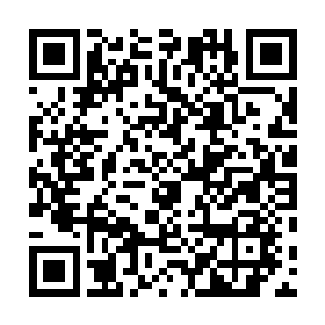 和她儿时记忆里那个抱着她逃离火海的绝色佳人十分相似二维码生成