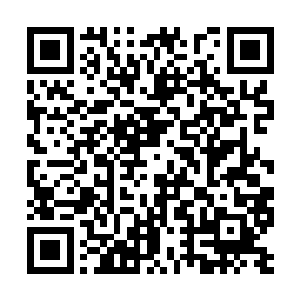 和寿县主又坐回到冰凉似水的玉席上开始看起了账二维码生成