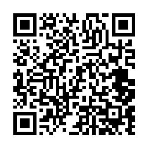 和张铁一起走过来的海勒来到阶梯面前就止住了脚步二维码生成