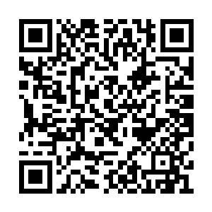 和当日在零城中所见到的外貌上略微有一些差别二维码生成