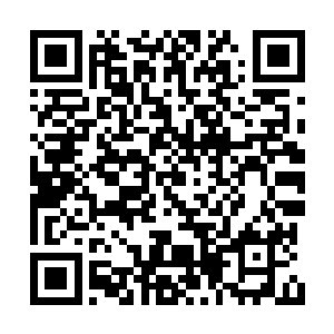 和当时正在机场的准备来的以及准备走的歌迷们二维码生成