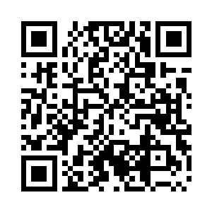 和我写的小说应该不是百分之百都是假的二维码生成