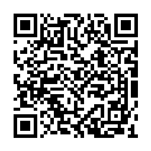 和星火交锋经验丰富的山西王毫无疑问是总指挥二维码生成