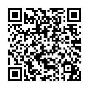 和是否转为青制干系不大……当然这是在暗面利益不大二维码生成