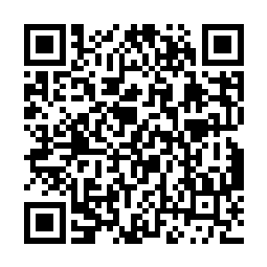 和池佳一相处日久的张小凡自然看出了池佳一的意思二维码生成