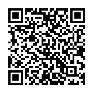 和泡在那种液体之中的宛如有两个脑袋的海参一样的双头蠕虫二维码生成