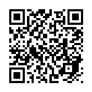 和海神珠里面你喊的那个姐有关吗二维码生成