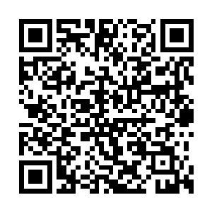 和督宰大人身上涌出的战气狠狠的撞击在了一起二维码生成