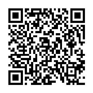 和秦洛王养心他们遇到的那个老麽麽所住的院子相隔不远二维码生成