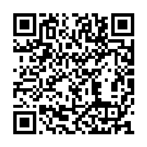 和程兆儿相处的点点滴滴一点点的在他心里回放二维码生成