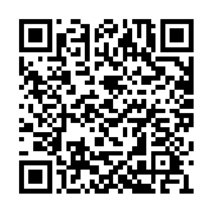 和脸上晶泽亮盈气度娴雅的詹彩芝形成鲜明对比二维码生成