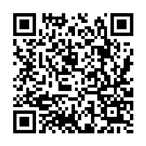 和花落英十分低调了来到碧落宗掌门黄天和的住处二维码生成