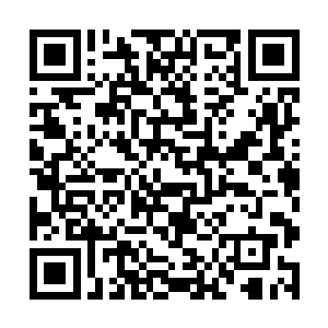 和这位专属治疗者一起认真仔细地看骨壁图像reads二维码生成