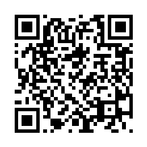 和这周围布满绿色苔藓的环境还算是相配二维码生成