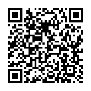 和那天在大殿上他一袭藏蓝色锦袍配着白色玉带一样二维码生成