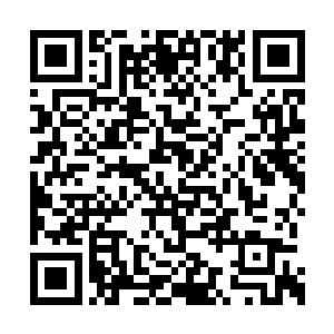 和金童之前那大汗淋漓的样子形成了鲜明的对比二维码生成