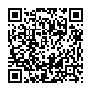 和长公主以及长公主背后的刘轻寒的势力联合起来二维码生成