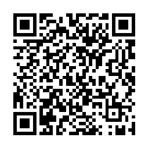 咔嚓……噗……只听这名海盗胸膛骨头碎裂的声音响起二维码生成