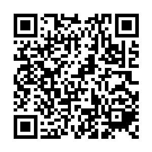 咬牙切齿的望着魔气云柱上凝出的那巨大的魔掌二维码生成