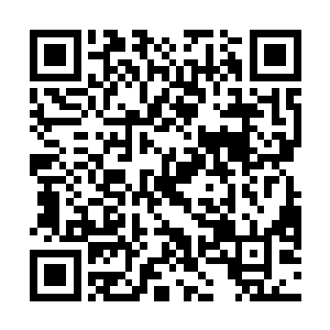 咱们下个月准备招待一下我们青山书院的邻居天凰书院二维码生成