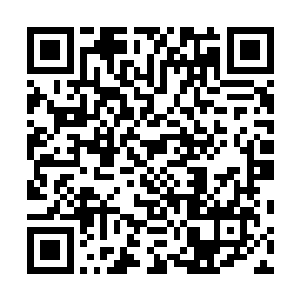 咱们不去抓裴文明那老东西和张雪海那个败类的罪证了么二维码生成