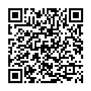 咱们没有理由眼睁睁的看着李凌峰被卫正冬给杀了二维码生成