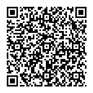 咱们燕子坞又出现了一位天道境高手――而且是比当年的莫轻敌更年轻的天道境高手――怎么能藏着不说呢二维码生成