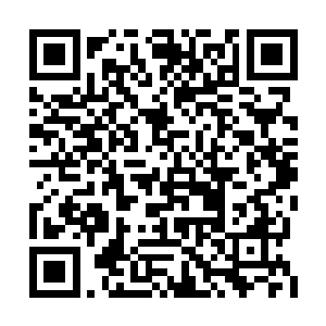 咱们的丹药都是这座千毒万药鼎之中炼制出来的二维码生成